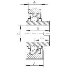 直立式軸承座單元 RASEL60-N, 鑄鐵軸承座，浮動軸承，內(nèi)圈有驅(qū)動槽，R 型密封